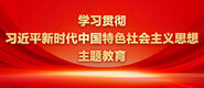 捷克美女操BB学习贯彻习近平新时代中国特色社会主义思想主题教育_fororder_ad-371X160(2)